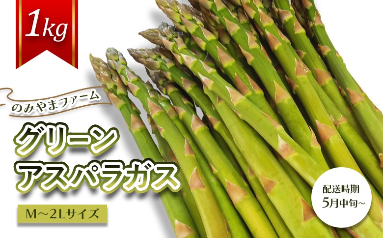 【先行受付】のみやまファームのグリーンアスパラガス（Ｍ～２L以上）1kg【05004】