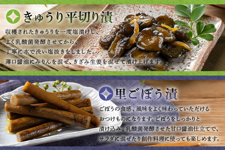 おつけもの 小袋4種詰め合わせ 80g×4パック ごぼう漬 ピリ辛らっきょう きゅうり平切り漬 里ごぼう漬 国産野菜使用 昔ながらの漬物 乳酸菌発酵 甘口醤油仕立て ご飯のお供 茨城県 潮来市 (A3
