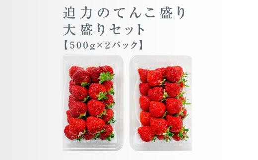 【今期発送の受付は2025年4月27日(日)まで】武下さんちのあまおう 中玉盛り合わせ1000g（500g×2パック）【あまおう 食品 あまおう フルーツ あまおう 果物 苺くだもの いちご 食品 イチゴ 人気 あまおう おすすめ 送料無料 福岡県 大川市 AA058】