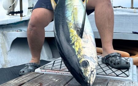 遊漁船「第八十八翔栄丸」 乗船利用クーポン 10000円分 / 釣り 海釣り 船釣り 釣り船 魚釣り フィッシング fishing 漁船 体験 チケット クーポン ジギング ジギング船 タイラバ トン
