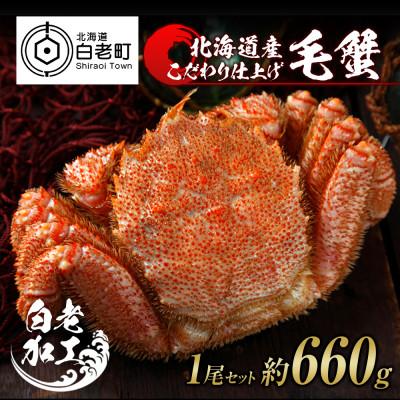 ふるさと納税 白老町 毛蟹 ボイル済み 冷凍 1尾セット 約660g BM037