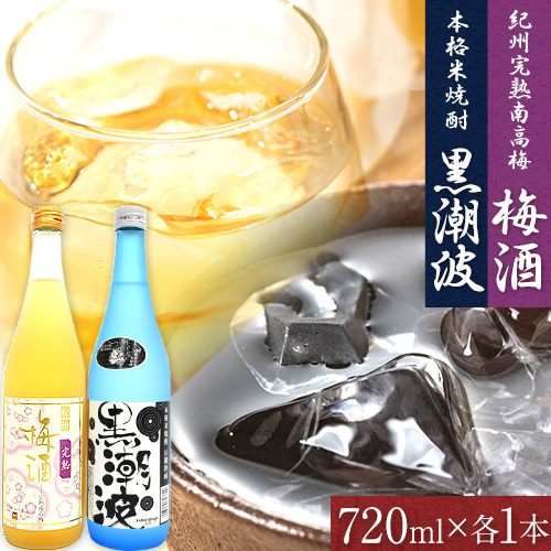 本格米焼酎 黒潮波 （くろしおなみ） と 紀州完熟南高梅 梅酒 720ml×各1本 2本セット 厳選館《90日以内に出荷予定(土日祝除く)》 和歌山県 日高町 酒 梅酒 焼酎 米焼酎 果実酒