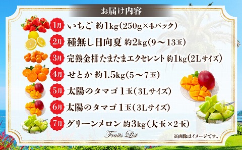 《2027年発送先行予約》【数量・期間限定】プレミアム南国くだもの7ヶ月定期便 フルーツ 果物 定期便 7回 いちご 日向夏 金柑 せとか マンゴー 太陽のタマゴ メロン