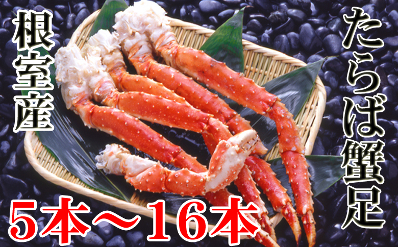 ＜12月21日決済分まで年内配送＞【北海道根室産】ボイルたらば蟹足5～16本(計1～1.2kg) C-36080