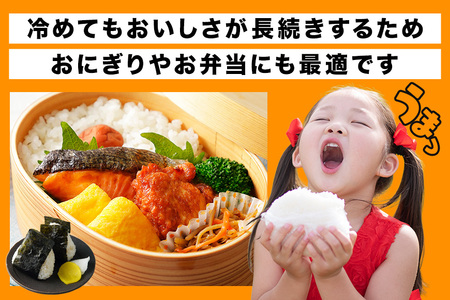 小西農産 令和7年産 コシヒカリ 5kg 米 KE-001