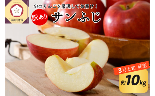 【2026年3月上旬発送】 【訳あり】 りんご 約10kg サンふじ 青森産