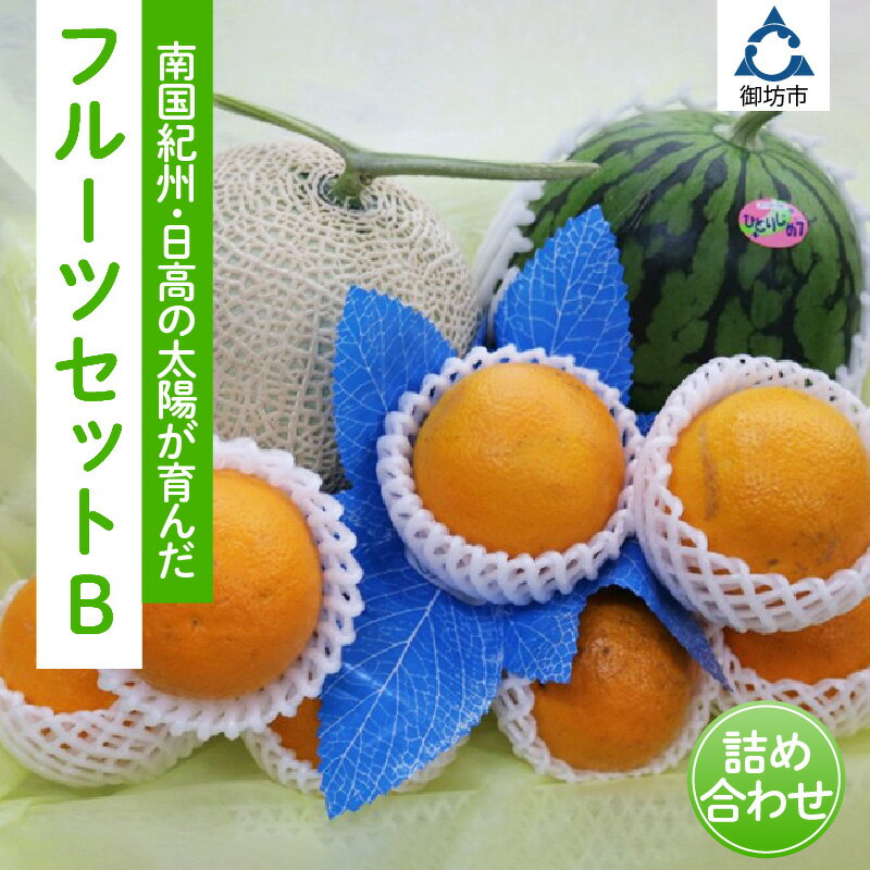 【ふるさと納税】南国紀州・日高の太陽が育んだ季節のフルーツセットB【配送不可地域:沖縄・離島】 フルーツ くだもの 果物 旬 旬のフルーツ 送料無料 数量限定 ふるさと納税 フルーツ