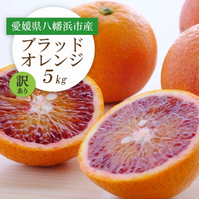 【2026年発送】愛媛県八幡浜市産 ブラッドオレンジ(タロッコ)5kg【訳あり】【C25−190】【1610024】