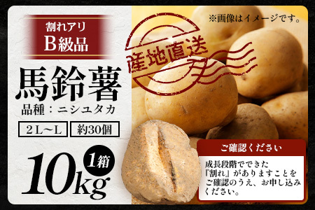 【先行予約】【B級品】(割れ) じゃがいも 馬鈴薯 (バレイショ) ≪2L～L≫ 約10kg×1箱 /ニシユタカ (約30個) ≪2026年3月20日頃より順次発送≫ CS-2 |  家庭用 南大隅町