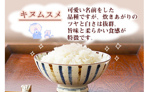 ＜令和5年度 特別栽培米「粋」キヌムスメ 5kg＞※入金確認後、翌月末迄に順次出荷します。