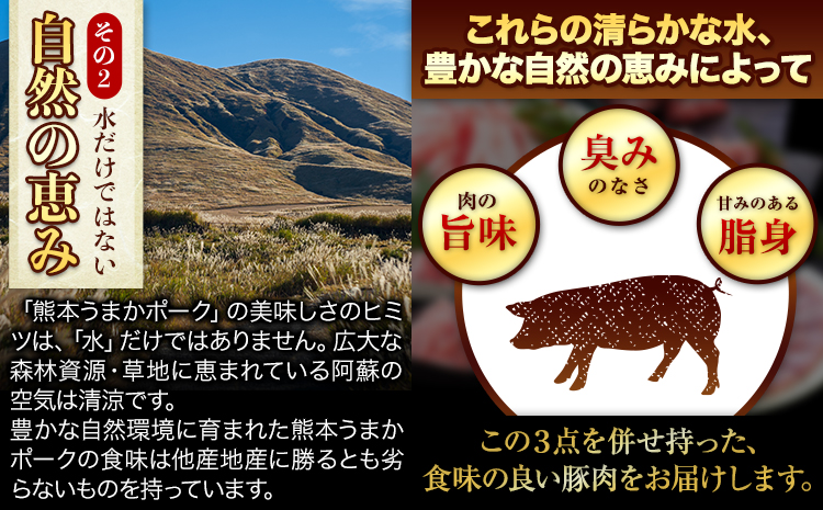 豚 肉 小分け しゃぶ しゃぶ 3種 熊本 うまか ポーク スライス 1.5kg 熊本県産 冷凍 豚 豚肉 個別 個別包装 取分け 豚しゃぶ ぶたしゃぶ ロース バラ 肩ロース 鍋 トレー《30日以内