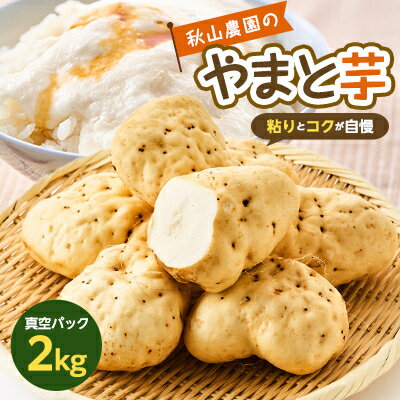 【ふるさと納税】やまと芋の町 多古から「秋山農園のやまと芋」2kg【配送不可地域：離島・沖縄県】【1459854】