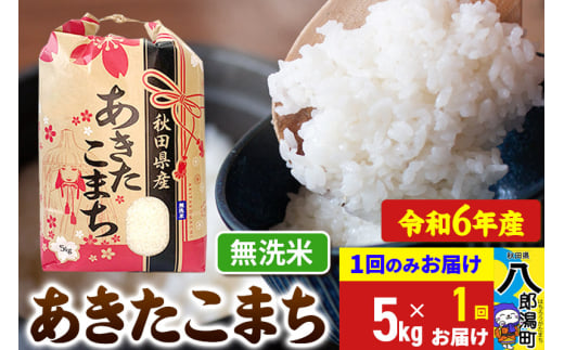 あきたこまち 5kg【無洗米】令和6年産 秋田県産 こまちライン