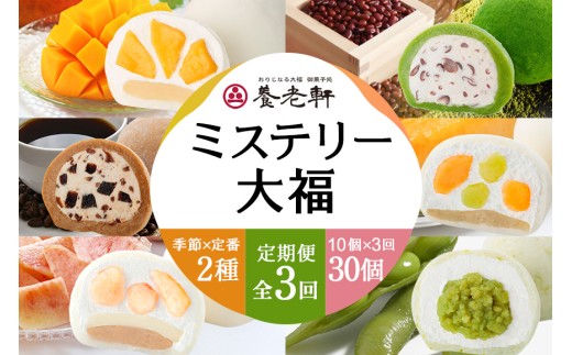 【期間限定・定期便（全3回）】養老軒のミステリー大福　10個入（2種類×5個）×3回│お楽しみ 人気 旬 フルーツ ふるーつ スイーツ 大福 和スイーツ おやつ おかし お菓子 和菓子 定期便
