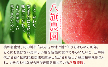 あら川の桃ジュース 「桃とろり」 八旗農園  和歌山