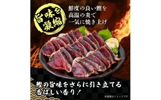 【 2回 定期便 】かつおのたたき 定期便