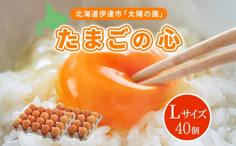 北海道 たまごの心 40個 Lサイズ 太陽の園 平飼たまご 有精卵 たまご 卵 生たまご 鶏卵 北海道産 鶏の卵 ポリスブラウン 食材 卵かけごはん TKG オムレツ オムライス タンパク質 ゆで卵 よく使う食材 万能食材 【農福連携】