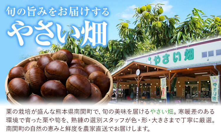 2026年産目利き厳選 やさい畑の美味しい栗 3kg 農家直送 厳選 生栗 冷蔵 送料 無料《9月下旬-10月上旬頃出荷》