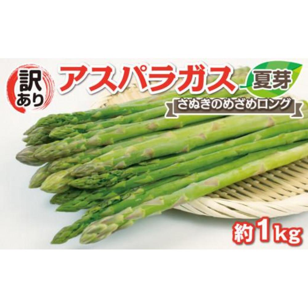 【ふるさと納税】期間限定【訳あり】アスパラガス (さぬきのめざめロング)　夏芽 1kg