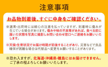 【先行予約】なつおとめ桃 6-8玉入り BKAD060 桃