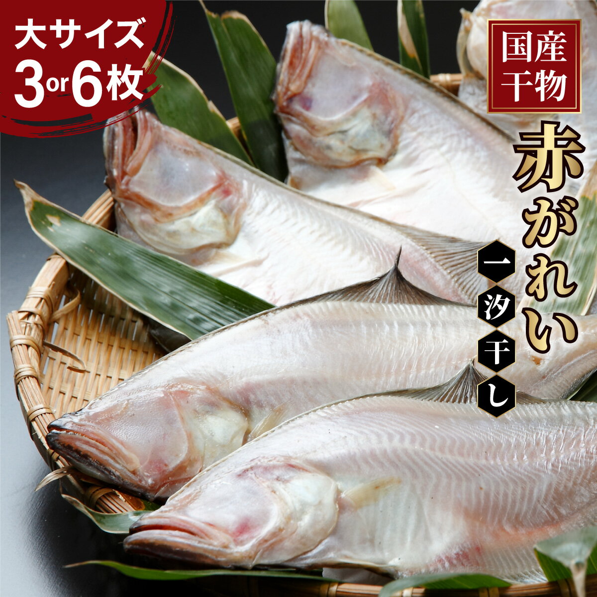 【ふるさと納税】【国産】干物 赤がれい 一汐干し 大サイズ 選べる 3枚 or 6枚セット ＜数量限定＞【福井県産 かれい カレイ 干物 一夜干し 魚介類 小分け 個包装 無添加 保存料・着色料不使用 焼き魚 煮魚 ご飯のお供】