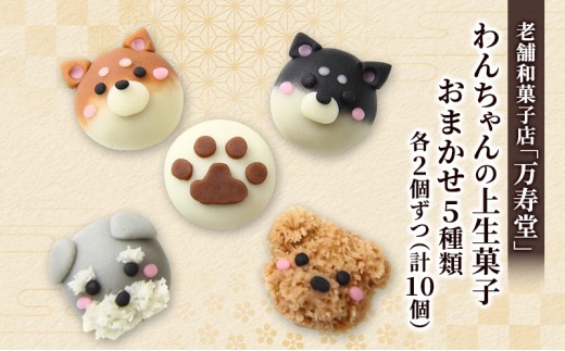 創業明治44年［菓子司 万寿堂］わんちゃんの上生菓子 おまかせ5種類 各2個ずつ（計10個）秋田 羽後 西馬音内 【菓子 和菓子 生菓子 上生菓子 スイーツ かわいい 高級 老舗 お取り寄せ ギフト】