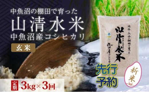 【令和8年産 先行予約】【定期便／全3回】玄米3kg 新潟県魚沼産コシヒカリ「山清水米」