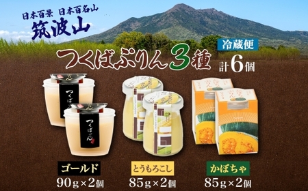 ゴールドぷりん ＆ とうもろこしプリン ＆ かぼちゃぷりん 各2個 計6個 つくばぷりん  プリン ぷりん とうもろこし トウモロコシ かぼちゃ カボチャ スイーツ 洋菓子 和スイーツ 冷菓 デザート