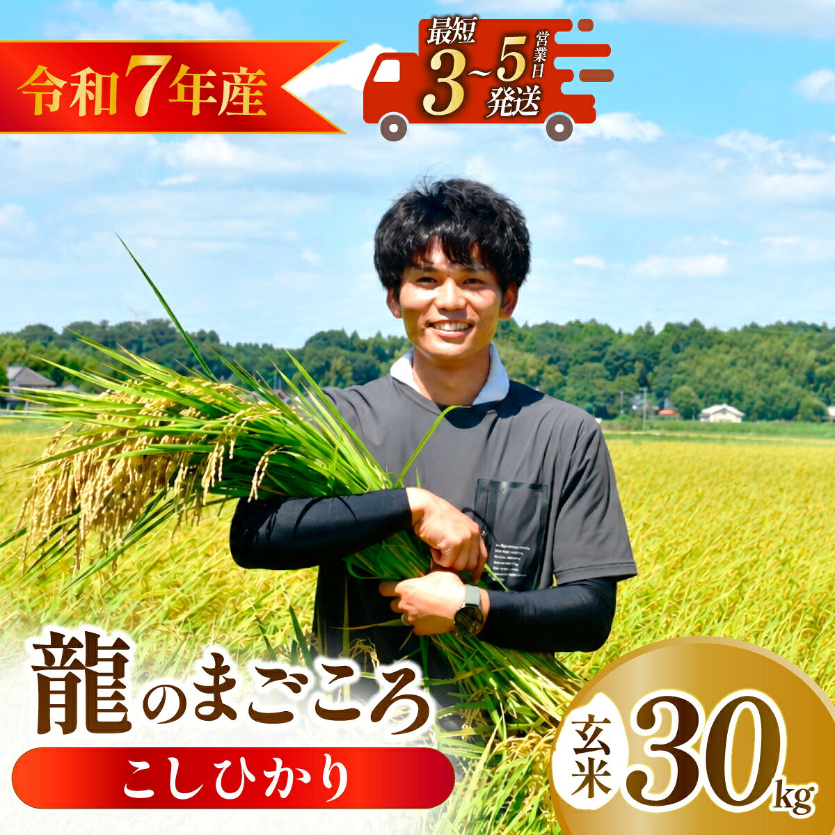 【ふるさと納税】令和7年度 コシヒカリ 玄米 30kg 農家直送 | コシヒカリ こしひかり 米 お米 おこめ こめ 白米 ごはん ご飯 厳選米 茨城県産 こしひかり 産地直送 国産 冷めてもおいしい 美味しい こだわり いばらきみどり認定 甘みが強い ふっくら 艶やか 茨城県 龍ケ崎市