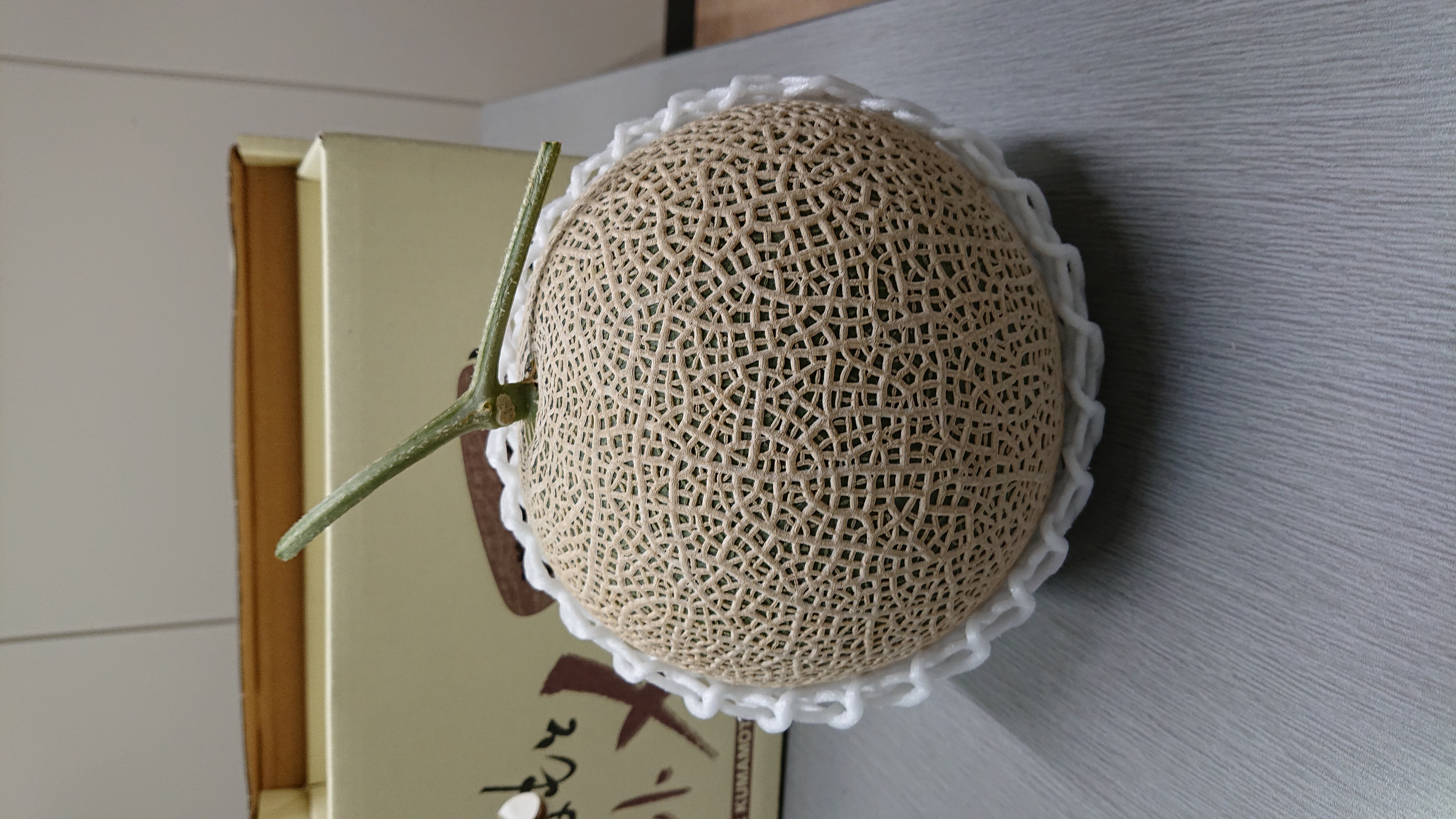 【先行予約】 宇城市産 アールスメロン 2玉 フレッシュダイレクト【2026年6月上旬〜7月下旬頃順次発送予定】