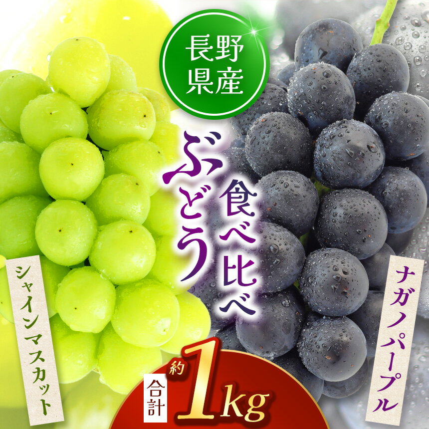 【ふるさと納税】【2026年先行予約】 シャインマスカット・ナガノパープル 約1kg (2房) 【9月下旬以降順次発送予定】 | 果物 くだもの フルーツ 葡萄 ぶどう ブドウ ナガノ パープル シャイン マスカット 長野県 塩尻市