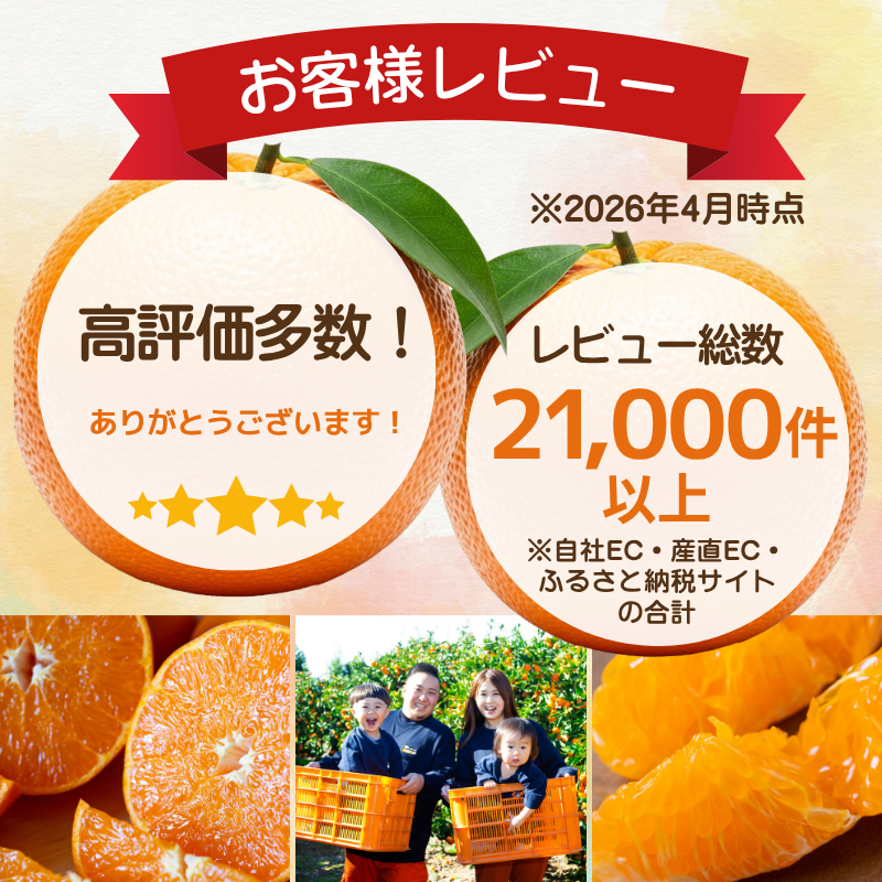 【先行受付】【香る柑橘】とろける甘み【はれひめ】【極】4kg【C49-81】【1621793】 YWTZ066