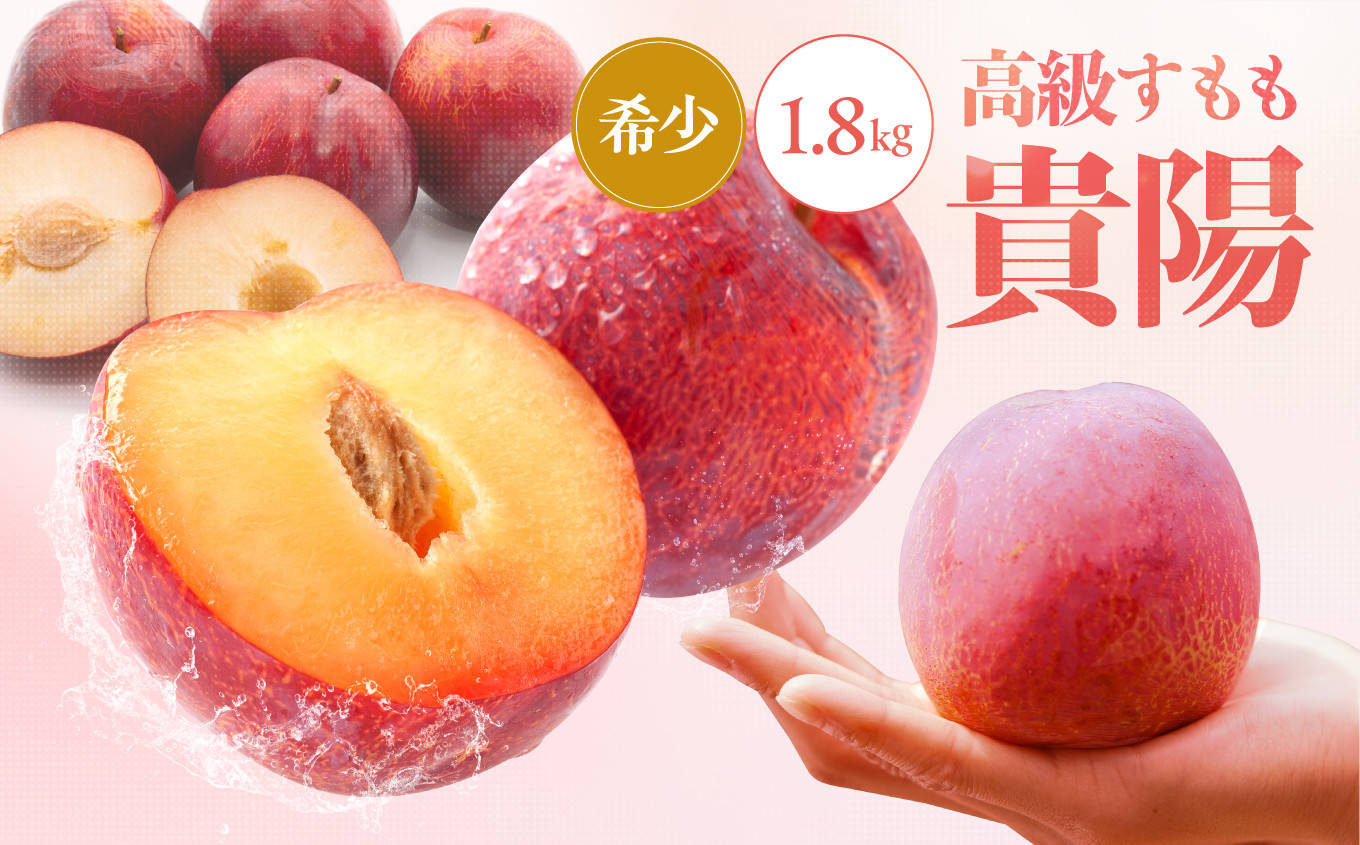 
            【2025年先行受付】 南信州 飯田産 贈答用 高級 すもも 貴陽 約1.8kg | 果物 くだもの フルーツ すもも 貴陽 ジューシー 贈答用 贈り物 プレゼント 長野県 飯田市 信州
          