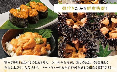 【期間限定】[北海道産] 天然殻付きキタムラサキウニ 3kg「2026年6月以降順次発送」 MATB013
