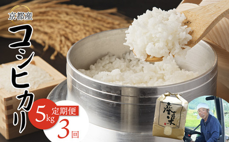 【定期便３回】 【令和7年度産】 コシヒカリ 5kg×3回 合計15kg 白米 精米
