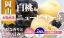 【ふるさと納税】【令和7年発送・先行予約】岡山県産　詰合/白桃（1玉220g以上）2玉・ニューピオーネ（480g以上）2房　化粧箱入り　ZZ-19　※北海道・沖縄県・離島への配送はできません。