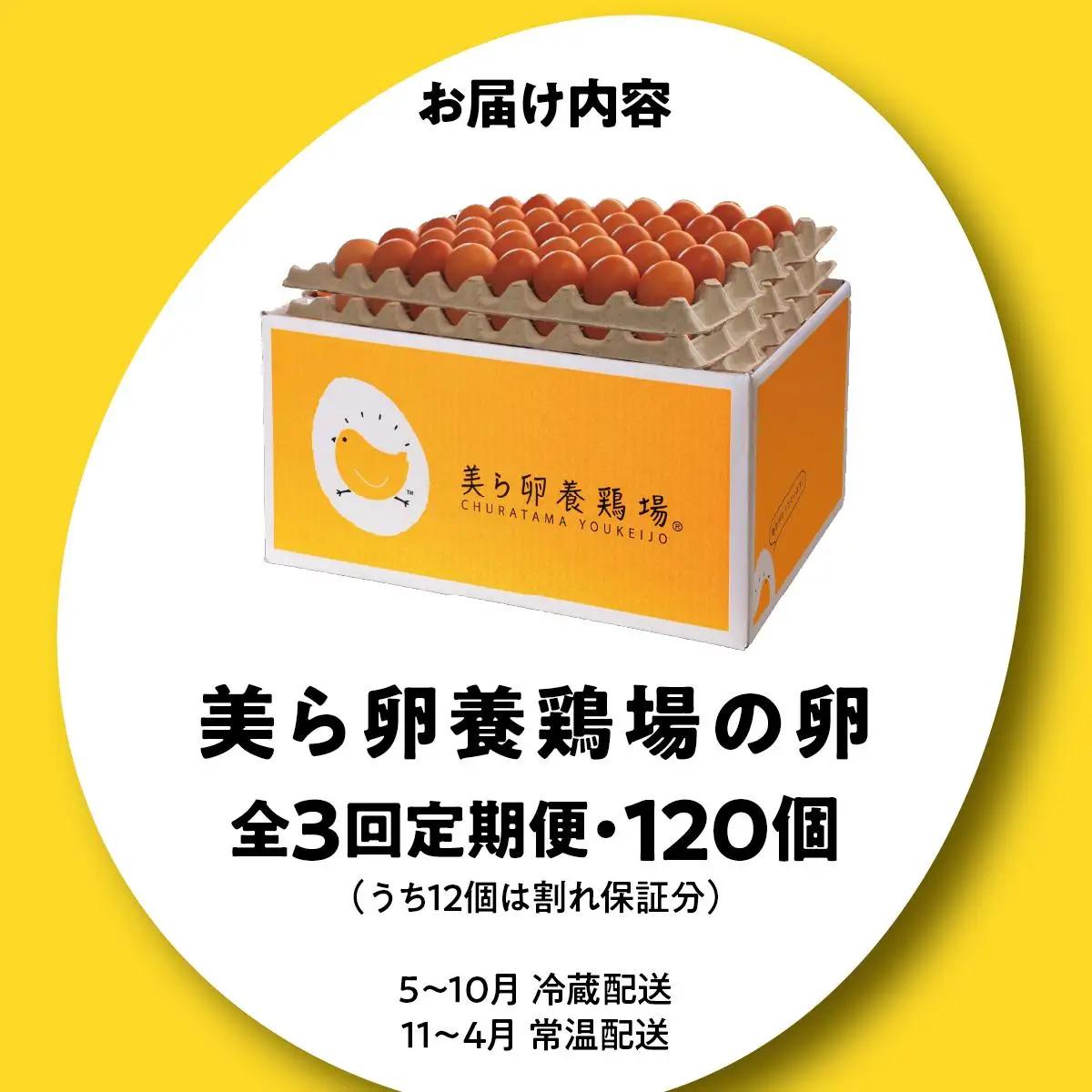 美ら卵養鶏場の卵 120個【3ヶ月定期便】   