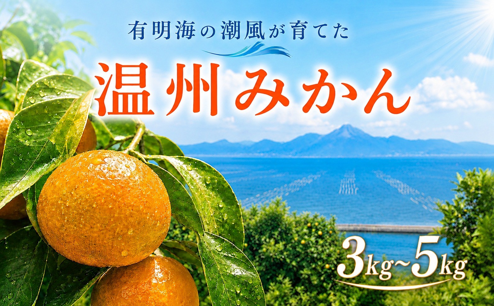 
                  熊本県産 温州みかん 約3kg～約5kg | 果物 フルーツ くだもの みかん ミカン 温州ミカン 熊本県 玉名市 味采市場
                