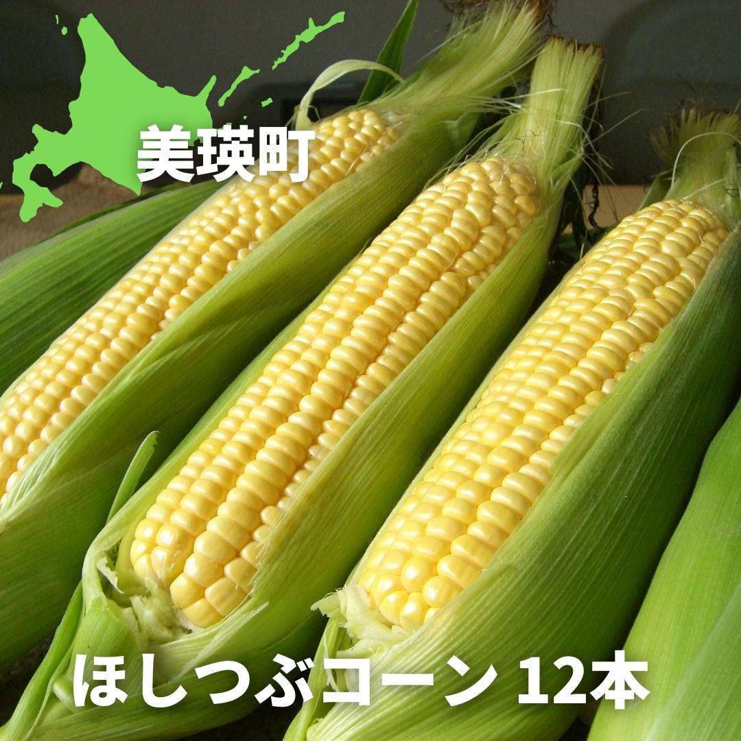 【令和８年産予約受付！】黒木農場　とうもろこし（ほしつぶコーン）１２本[011-56]