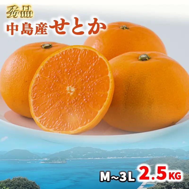 【2027年2月下旬頃から順次発送】 【秀品】 松山市 中島産 松山市中島産 せとかＭ～3Ｌサイズ　2.5kg （ 愛媛みかん 愛媛ミカン みかん ミカン mikan 蜜柑 柑橘 フルーツ 果物 くだもの お取り寄せ 産地直送 数量限定 人気 おすすめ 愛媛 松山 フジ・アグリフーズ）【FA0941】
