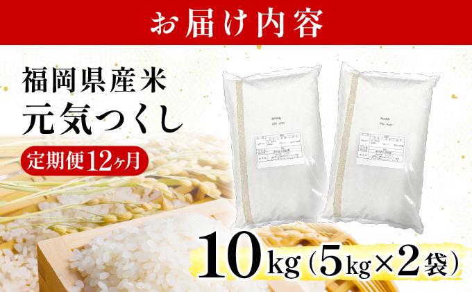 【12ヶ月定期便】福岡県産米 元気つくし 10kg 令和7年産 ※北海道・沖縄・離島は配送不可【精米 7年産 国産 福岡県産 お米 ブランド米 10kg げんきつくし】CY012sub12 【12ヶ月