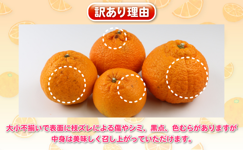 不知火 5kg 訳あり 不知火 杉本屋 先行予約 果物 くだもの わけあり 訳あり品 フルーツ 柑橘 蜜柑 みかん 不知火みかん mikan ミカン グルメ お取り寄せ デザート ビタミン 愛媛県産 