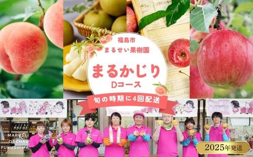 No.2364まるせい果樹園 【定期便4回】まるかじりDコース【2025年発送】