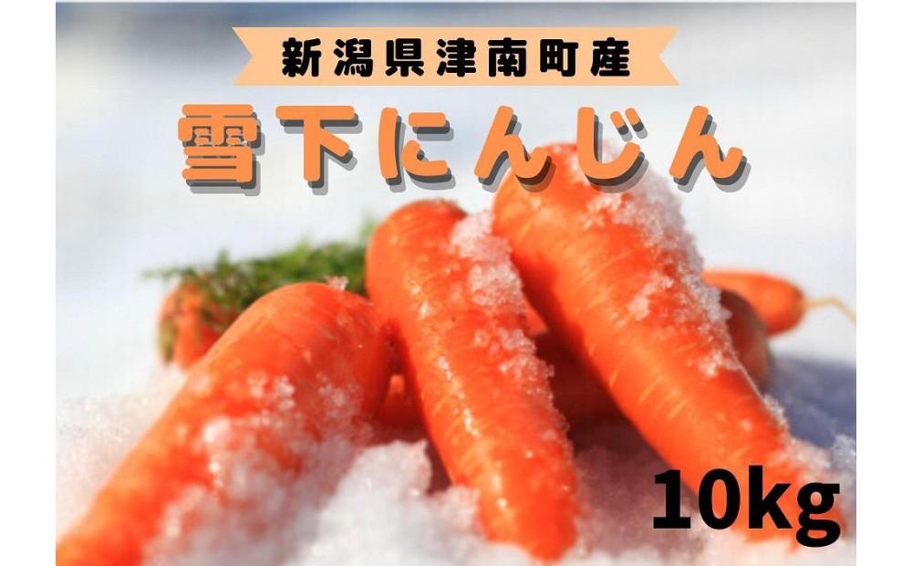 【令和8年産 先行予約】雪国ならではの逸品！津南町の雪下にんじん 10kg 50～70本 127524-090