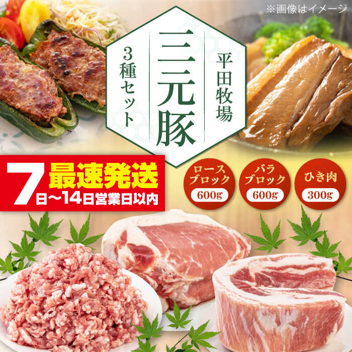 【ふるさと納税】 平田牧場 三元豚 セット ( ロース 600g・バラブロック 600g・ ひき肉 300g ) 《喜茂別町》【平田牧場】 肉 豚肉 ブロック ステーキ ステーキ用 ロース バラ とんかつ ミンチ 豚ミンチ 角煮 冷凍配送 北海道 平田牧場 [AJAP009] 18000 18000円