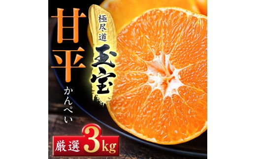 「玉宝ブランド」＜甘平＞3kg＜E64-44＞【1511358】 YWTY033