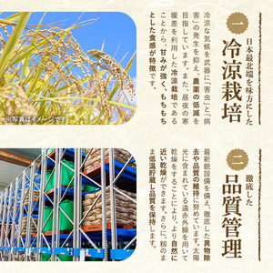 ＜定期便・全4回＞令和7年産 新米 JAブランド米 氷点の舞 ななつぼし (10kg×4回) 新米 米 お米 北海道米 北海道産 北海道米 士別市産 ごはん 精米 白米 10kg 40kg 定期便 【