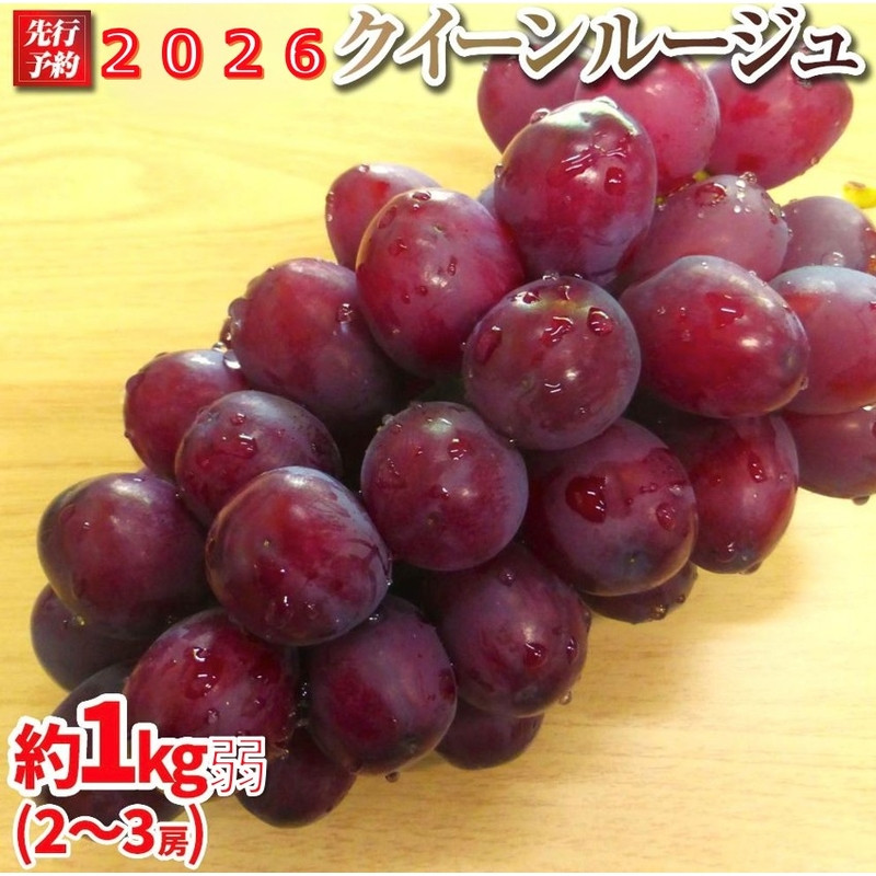 【先行予約】A　2026  クイーンルージュ?　2房～3房　約1キロ弱【2026年10月初旬頃～順次発送予定】　長野県産　国際特許有機肥料栽培