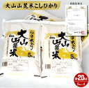 【ふるさと納税】新米 令和6年産 大山山麓米こしひかり 5kg×4 計20kg【24-038-003】名水の里ではぐくまれたおいしいお米 みずほ米穀 商標登録品 コシヒカリ お米 こめ 精米 米 20キロ 5キロ×4 美味しい お取り寄せ グルメ 産地直送 鳥取県産 鳥取県 米子市 送料無料