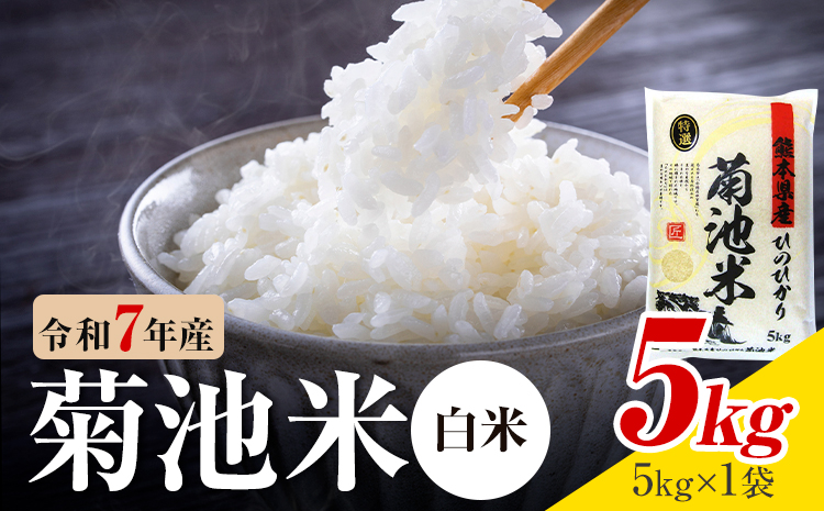 令和7年産 熊本県産 菊池米 白米 5kg 1袋5kg 株式会社くまもとごはん 《30日以内に出荷予定(土日祝除く)》米 お米 令和7年産 九州産 熊本県産  送料無料---026-5027---